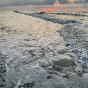 Meet your Posher, Samuel